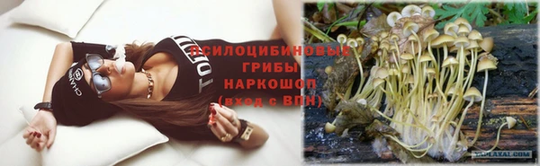 ГАЛЛЮЦИНОГЕННЫЕ ГРИБЫ Бородино