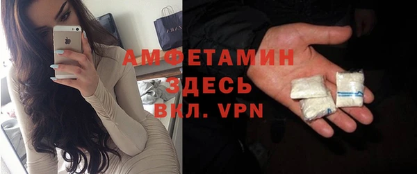 ГАЛЛЮЦИНОГЕННЫЕ ГРИБЫ Бородино