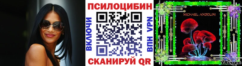 Галлюциногенные грибы Cubensis  Минеральные Воды 